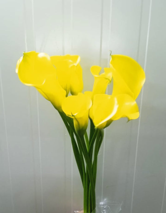 Calla Lily